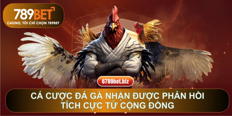 Cá cược đá gà nhận được phản hồi tích cực từ cộng đồng